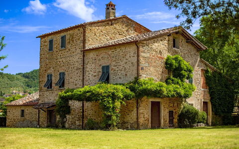 Olivo: Grass, House, Home, Rural Area, Cottage, Farmhouse, Estate, Meadow, Lawn, Landscaping