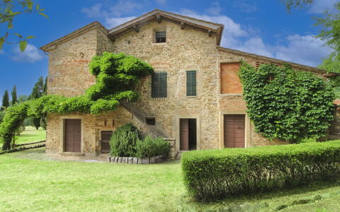 Olivo: Grass, House, Home, Rural Area, Cottage, Farmhouse, Estate, Meadow, Lawn, Landscaping