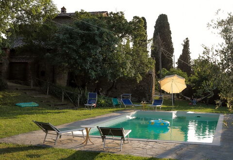 Olivo: Water, Plant, Sky, Green, Swimming Pool, Tree, Shade, Outdoor Furniture, Grass, Building