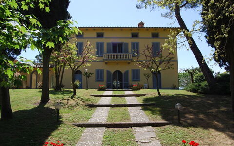 Poggio Falcone: Plant, Sky, Building, Property, Window, Botany, Tree, House, Grass, Land Lot