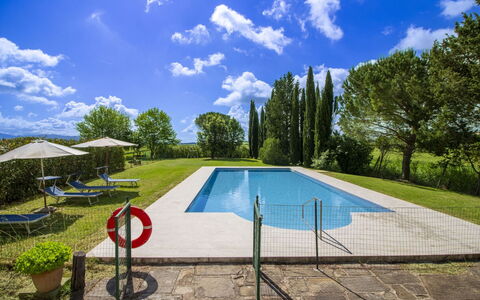 Villa Cantagallo: Swimming Pool, Estate, Garden, Leisure, Outdoor Furniture, Hacienda, Lawn, Villa, Yard, Landscaping