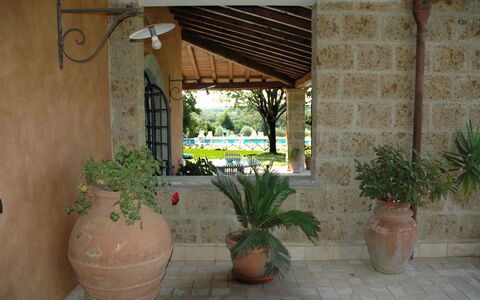 Villa Iris: Plant, Flowerpot, Houseplant, Shade, Wood, Wall, Vase, Flooring, Building, Real Estate