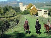 Castello Di Montalto