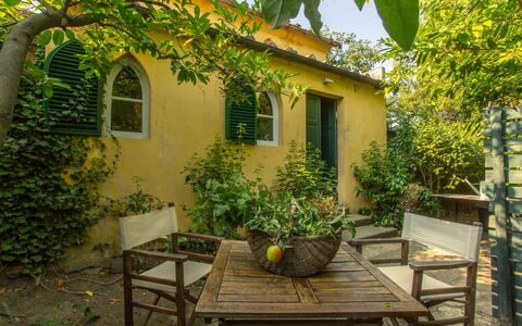 Villa Pedone: Yellow, Shrub, Door, Garden, Home, Spring, Flowerpot, Cottage, Backyard, Shade