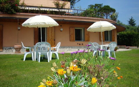 External View