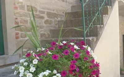 Villa Polvano Polvano 1 - the entrance and the flowers
