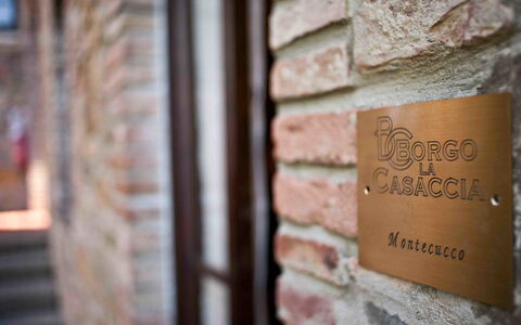 Accommodation:&nbsp;Montecucco