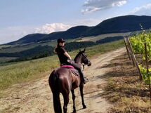 La Casetta nel Bosco