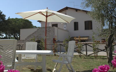 External