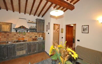 Accommodation:&nbsp;Olivo