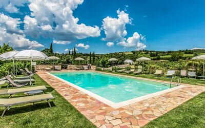 Mastro 5 - Castelnuovo Berardenga, Tuscany, Italy