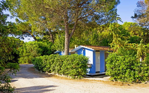 Accommodation:&nbsp;Etruria 200.1