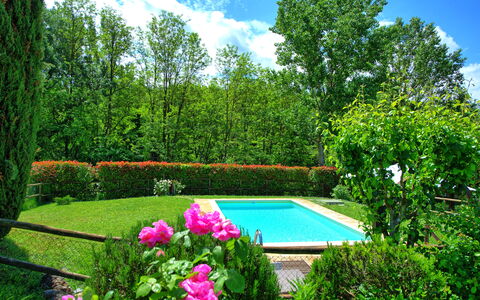Casa Ovile: Flower, Water, Plant, Sky, Cloud, Green, Natural Landscape, Botany, Tree, Vegetation