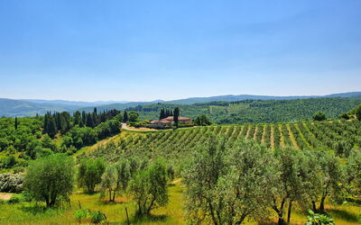 Filigare