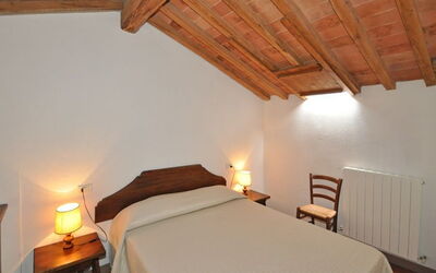 Accommodation:&nbsp;Viola