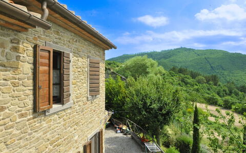 Casetta i Ciliegi: Garden, Cottage, Farmhouse, Shade, Landscaping, Estate, Yard, Backyard, Stone Wall, Hacienda