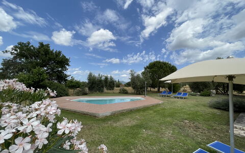 Funghi 1: Cloud, Sky, Plant, Flower, Swimming Pool, Water, Tree, Grass, Outdoor Furniture, Shade