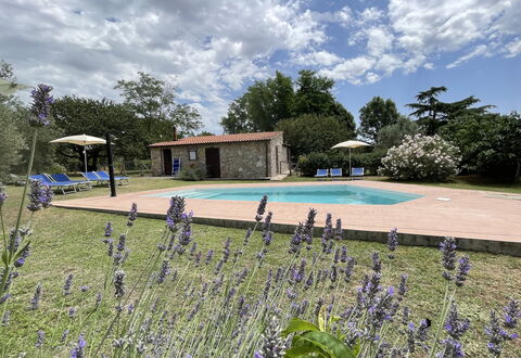 Funghi 1: Cloud, Plant, Sky, Water, Flower, Swimming Pool, Tree, Grass, Natural Landscape, Leisure