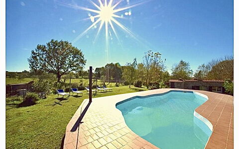 Funghi 2: Water, Sky, Plant, Nature, Azure, Swimming Pool, Grass, Tree, Shade, Rectangle