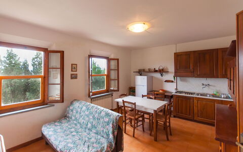 Accommodation:&nbsp;Spini 2