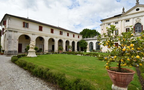 Barchessa Palladio: Shrub, Estate, Garden, Mansion, Hacienda, Lawn, Official Residence, Villa, Palace, Yard