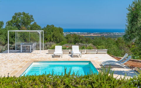 Villa Butterfly: Blue, Garden, Shade, Landscaping, Design, Resort, Outdoor Furniture, Backyard, Eco Hotel