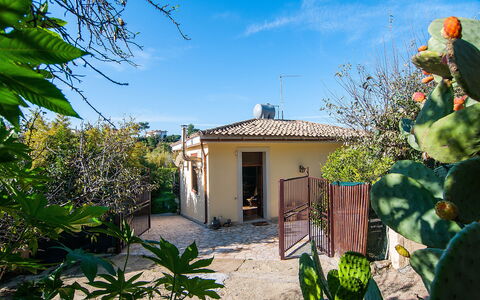 Vista Mare Noto: Property, House, Home, Real Estate, Cottage, Building, Botany, Plant, Tree, Estate