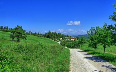 Tizzauli