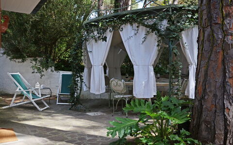 Villa Pineta: Furniture, Chair, Outdoor Furniture, Shade, Garden, Outdoor Table, Outdoor Structure, Backyard, Yard, Patio